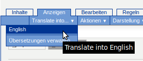 translate_into.gif